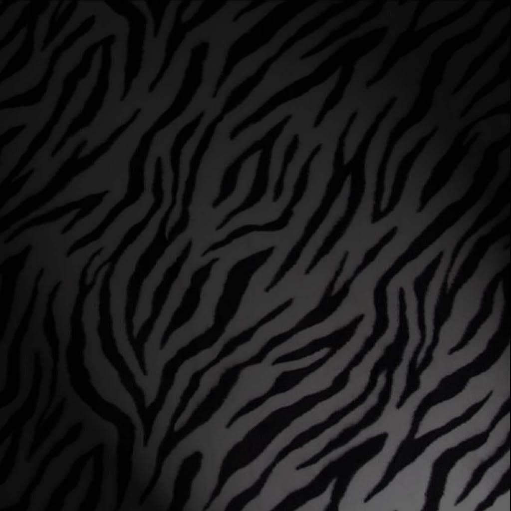 Black and White Animal Print Wallpapers - Top Free Black and White