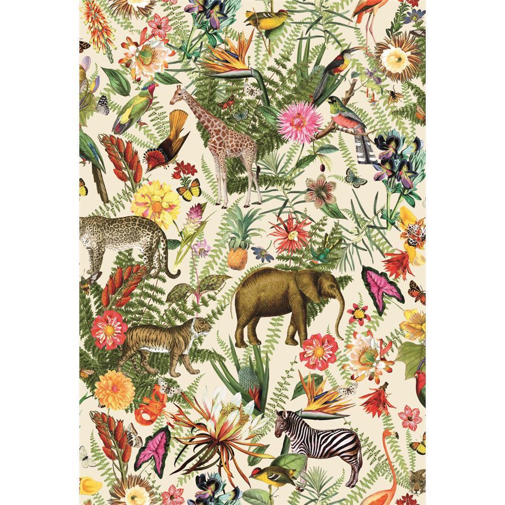 1000x1000 Tropical Zoo Peel & Stick Wallpaper by RoomMates for York Wallcovering