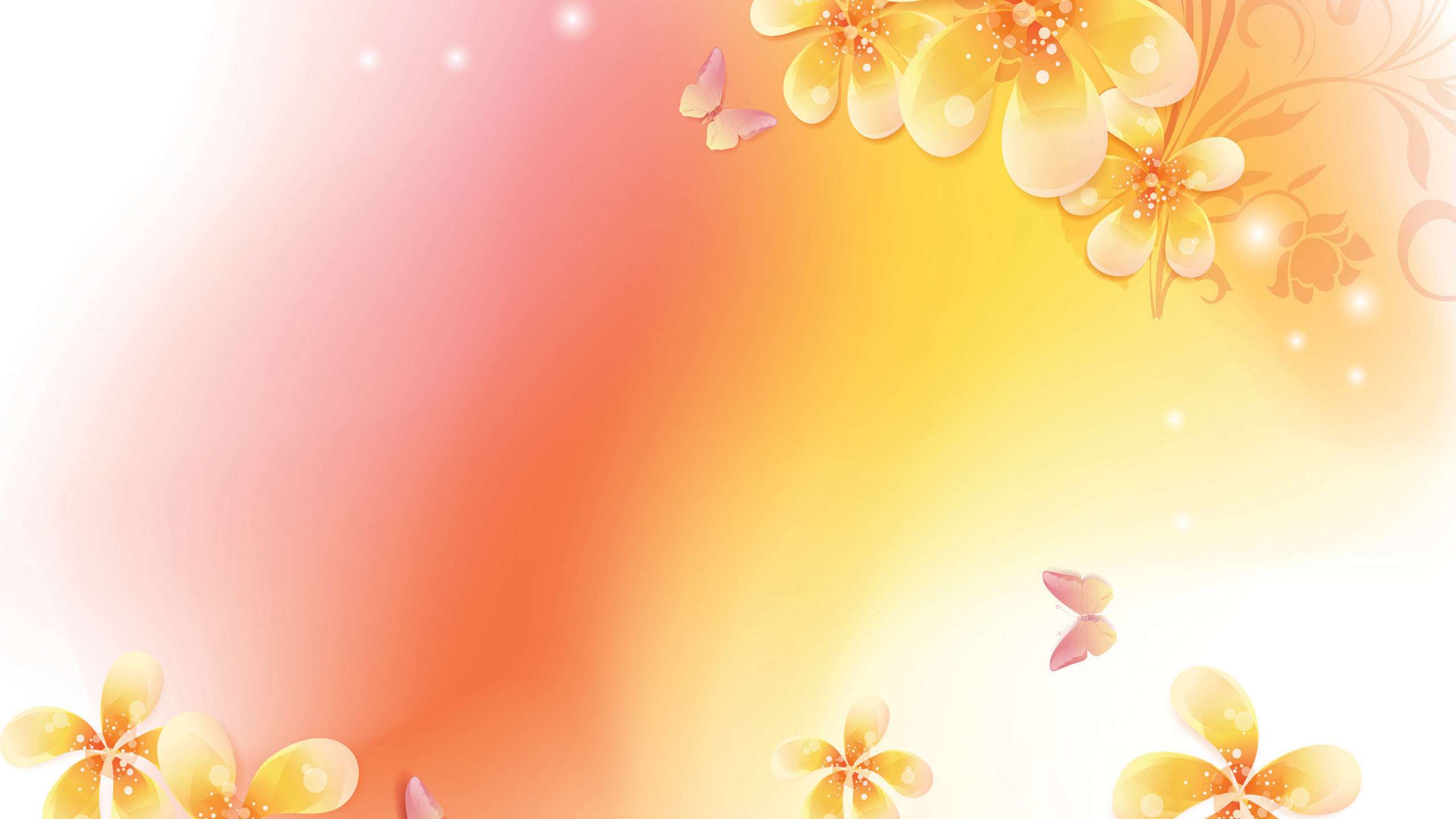 2560x1440 Wallpaper Abstract Flower Background HD