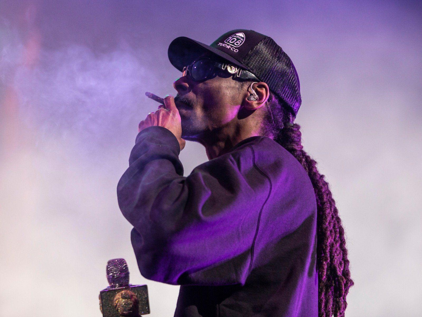 Snoop dogg клипы. Snoop Dogg 2020. Snoop в 2020. Snoop Dogg Purple. Snoop doggy Dogg 2020.