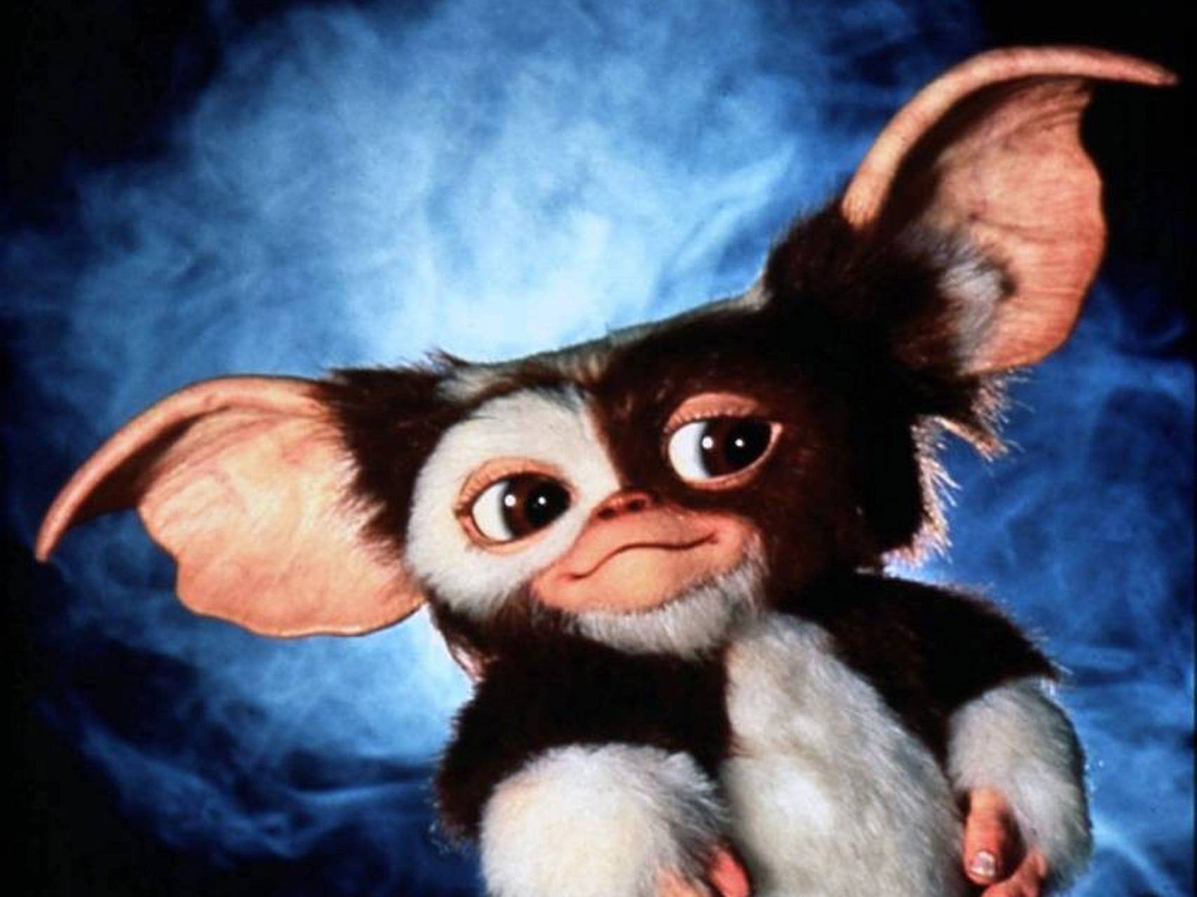 1707x1280 Gizmo wallpaper