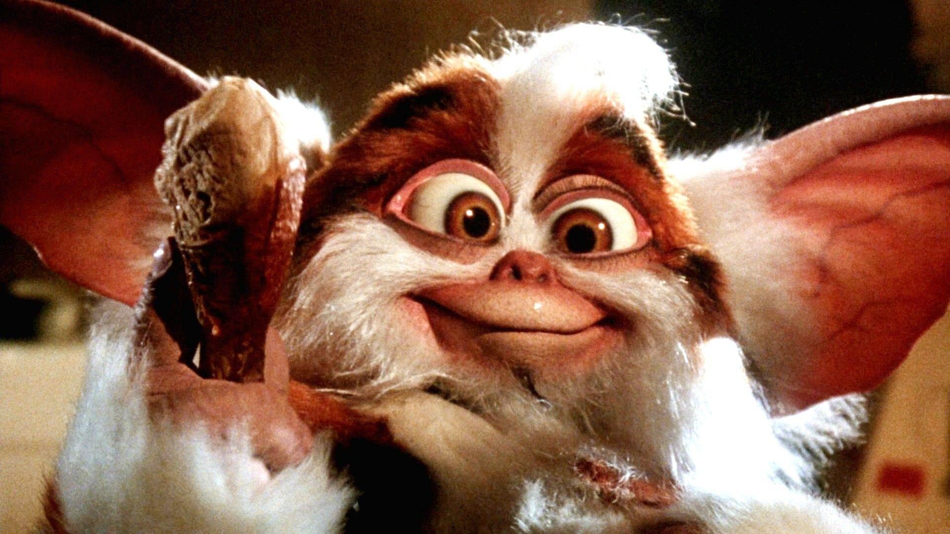 1920x1080 Gremlins wallpaper wallpaper Collections