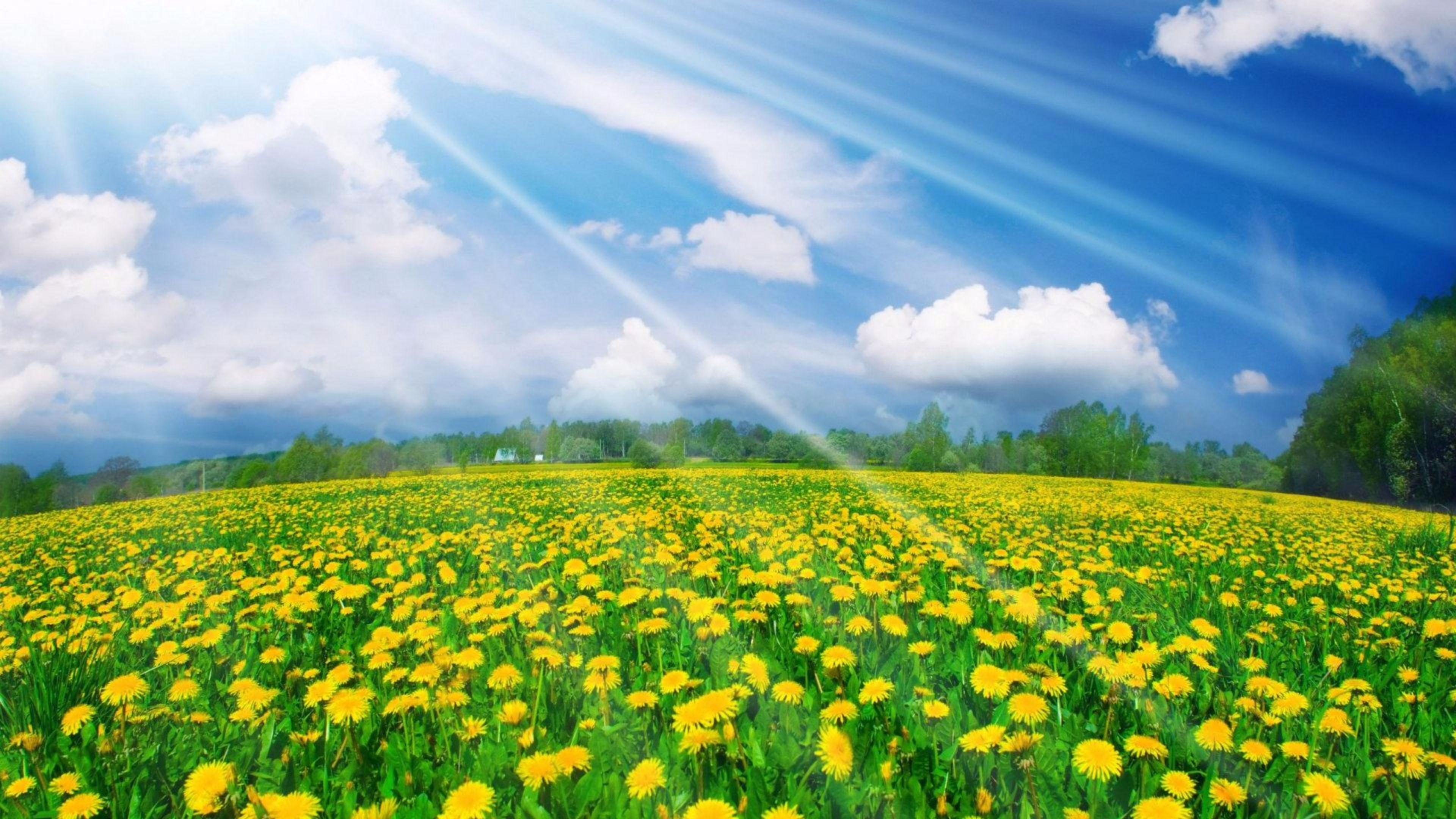3840 X 2160 Spring Wallpapers - Top Free 3840 X 2160 Spring Backgrounds ...