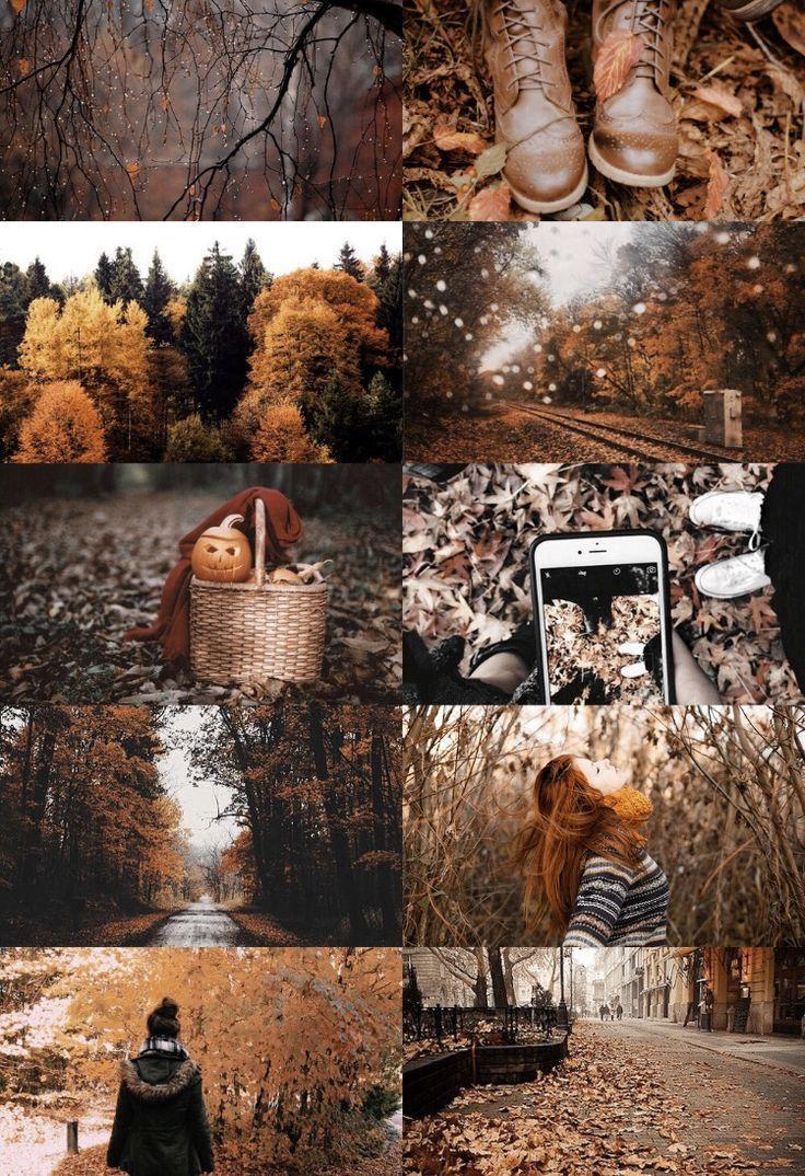 736x1074 Folgen Sie xlavalamp Hallowen. Autumn aesthetic, Autumn photography, Autumn inspiration