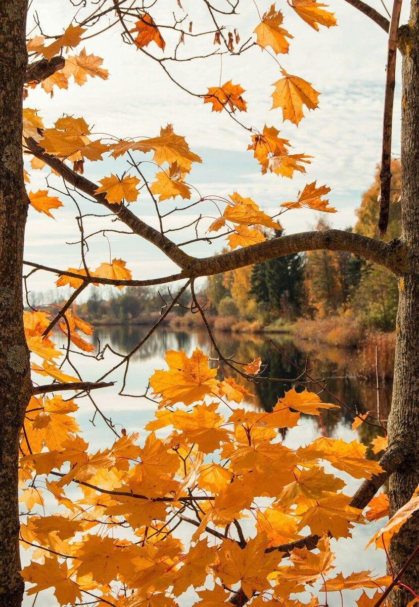 829x1200 autumn. Nature, Season of the witch, Photo