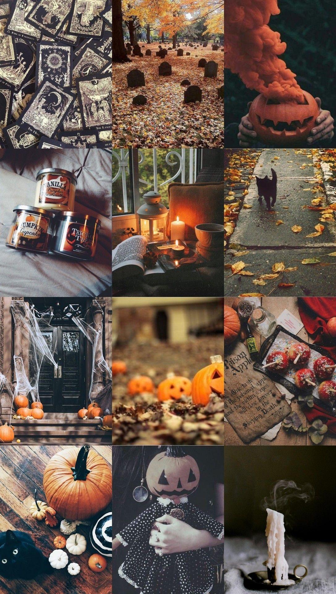 1087x1920 Halloween Samhain Witch