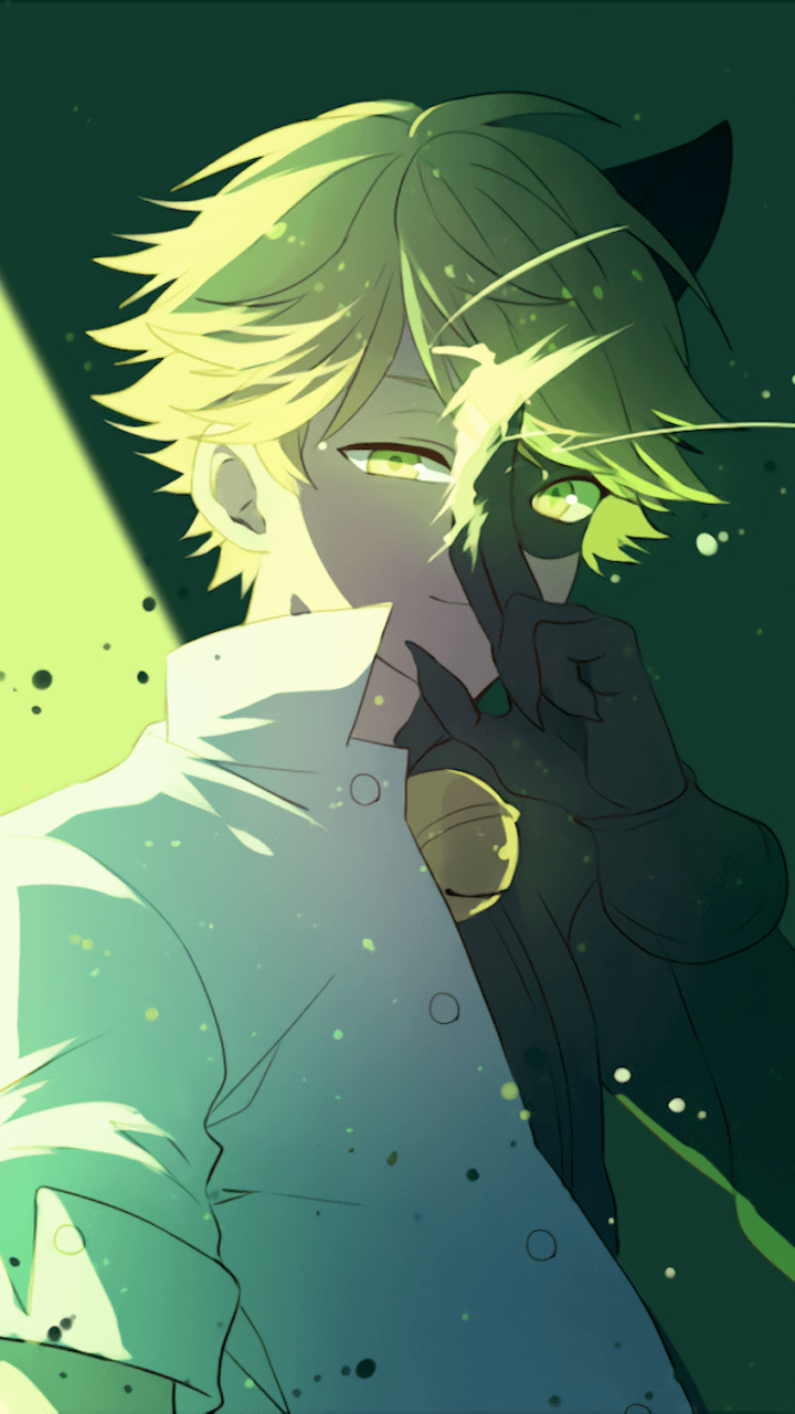 720x1280 Anime Ladybug And Cat Noir Wallpaper