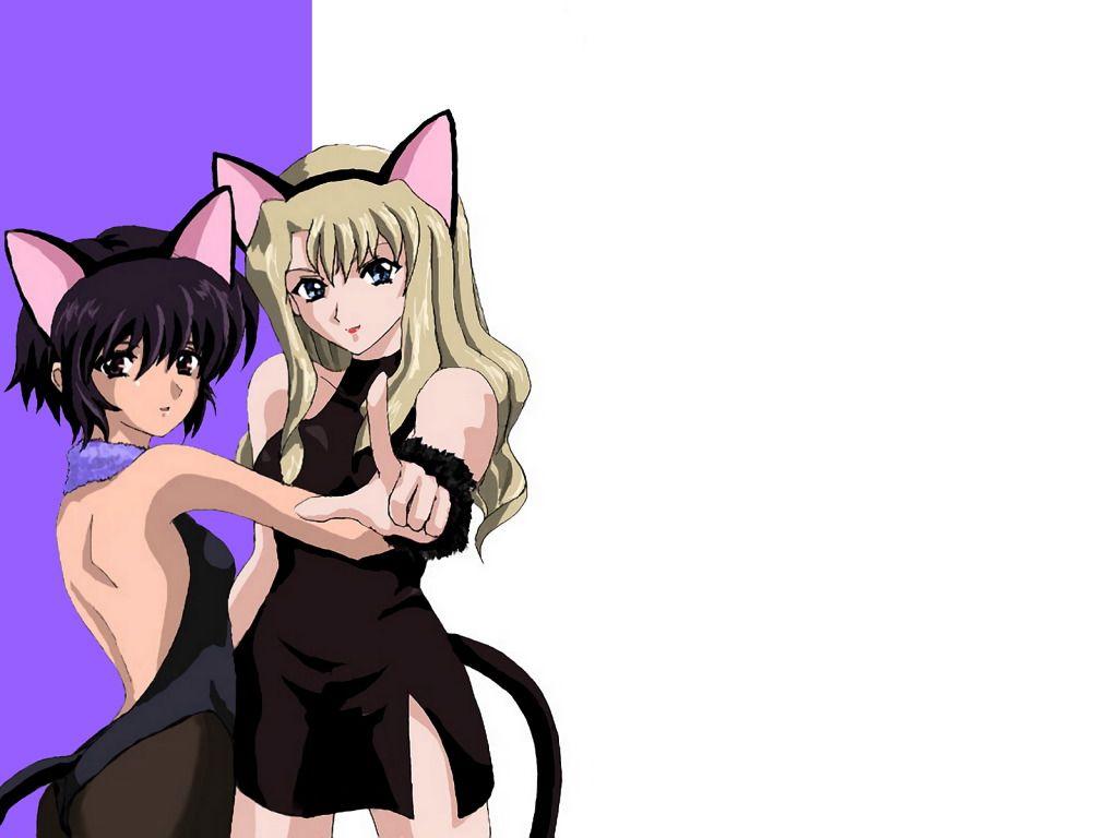1024x768 Photo Noir Anime