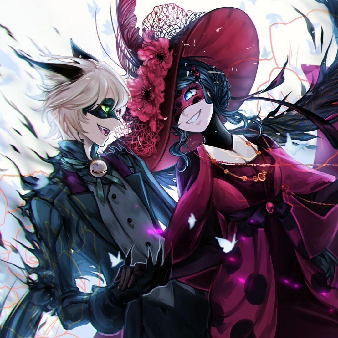 1080x1080 Ladybug and Cat Noir Desktop Wallpaper .