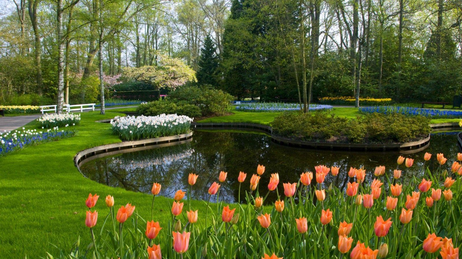 1600x900 Keukenhof Lisse Netherland Garden HD Garden Wallpaper