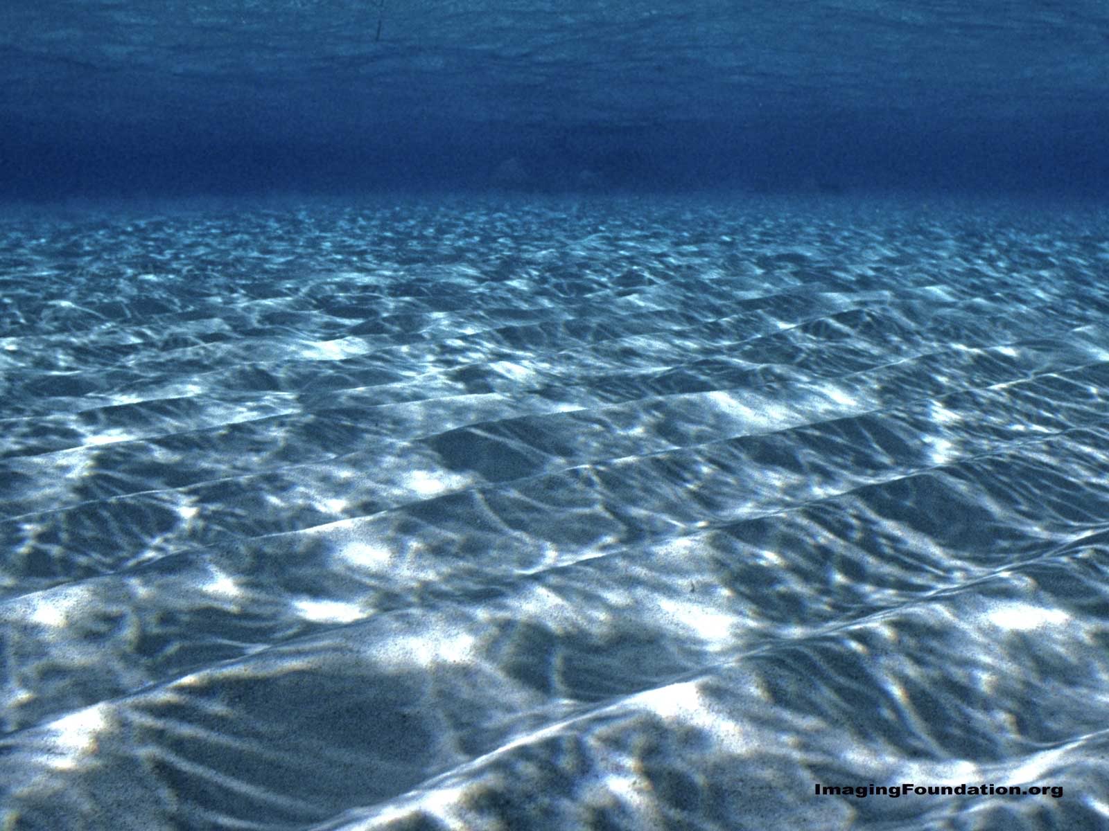 1600x1200 Underwater HQ wallpaper and picture