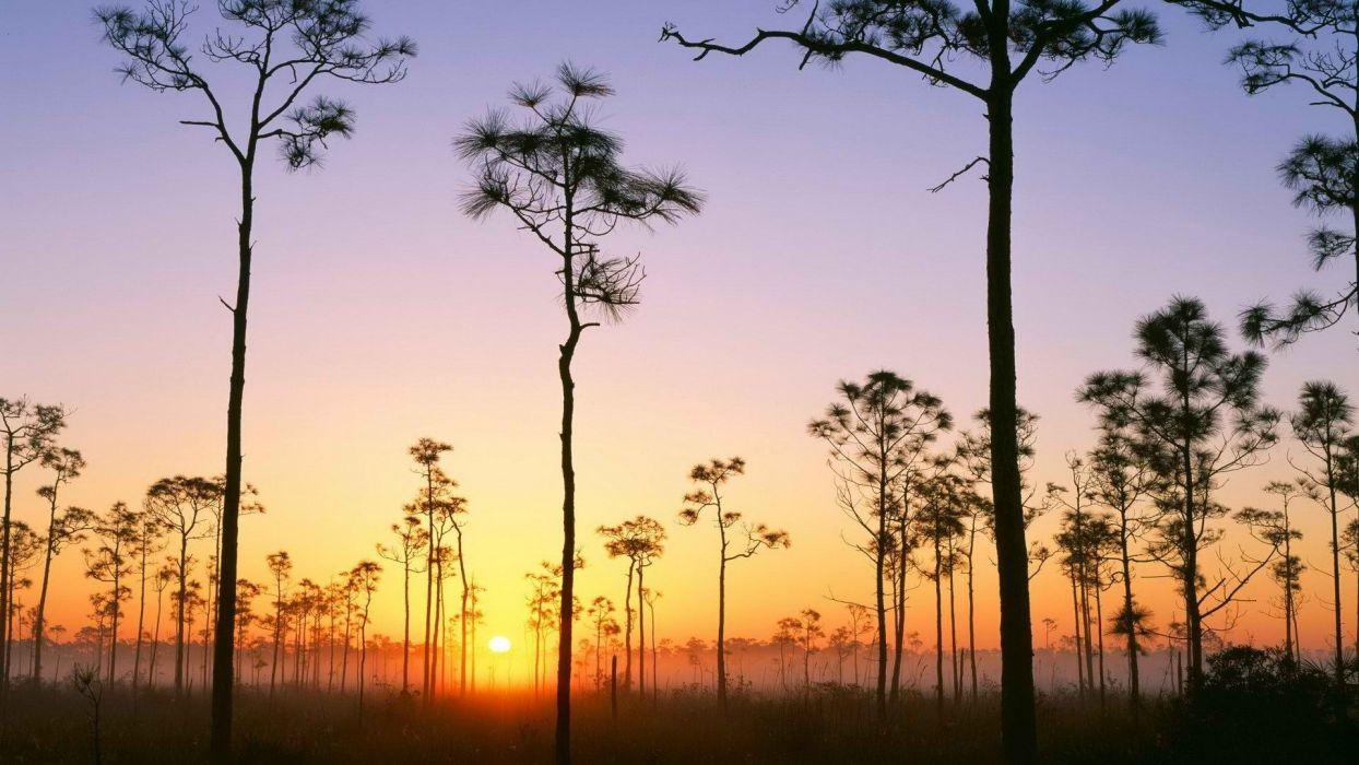 1244x700 Sunrise Florida National Park wallpaperx1080