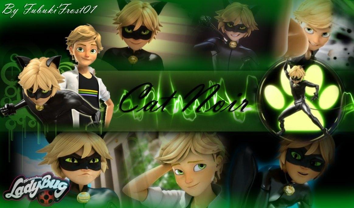 1164x686 Desktop Cat Noir Wallpaper