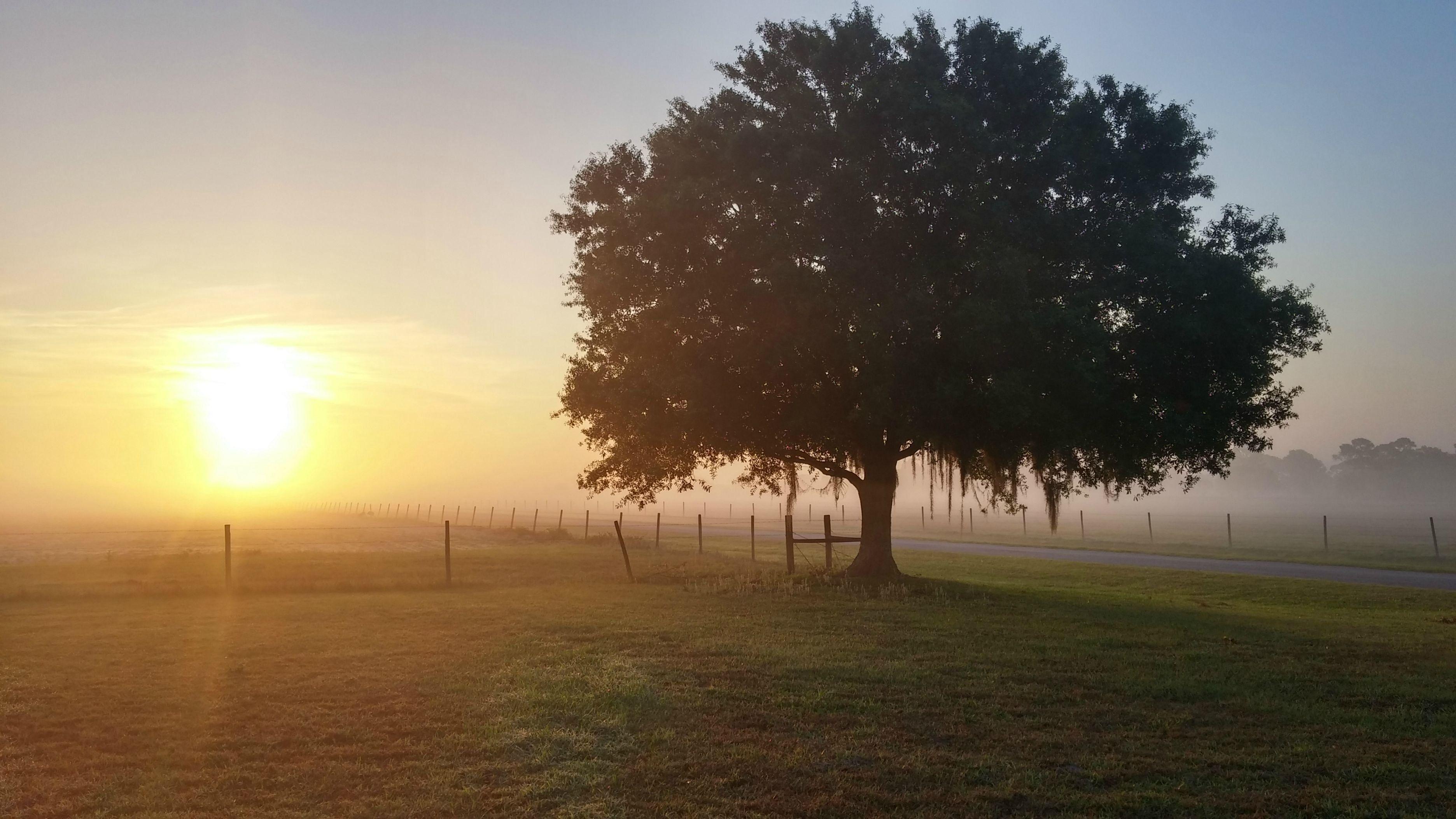 3744x2106 Sunrise in Immokalee Florida HD wallpaper