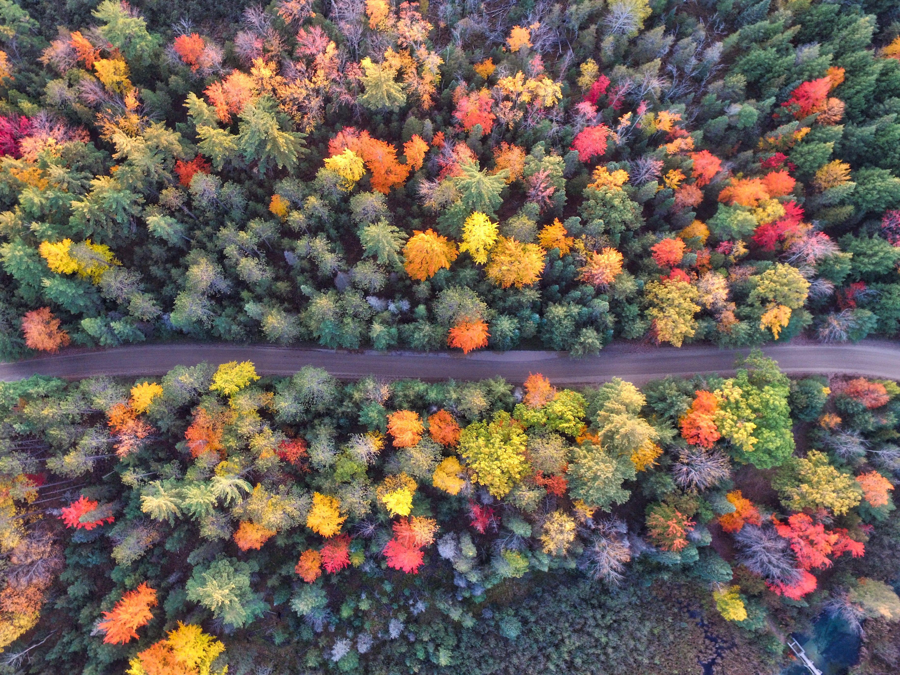 3669x2752 Aerial Drone Photography Wallpaper .