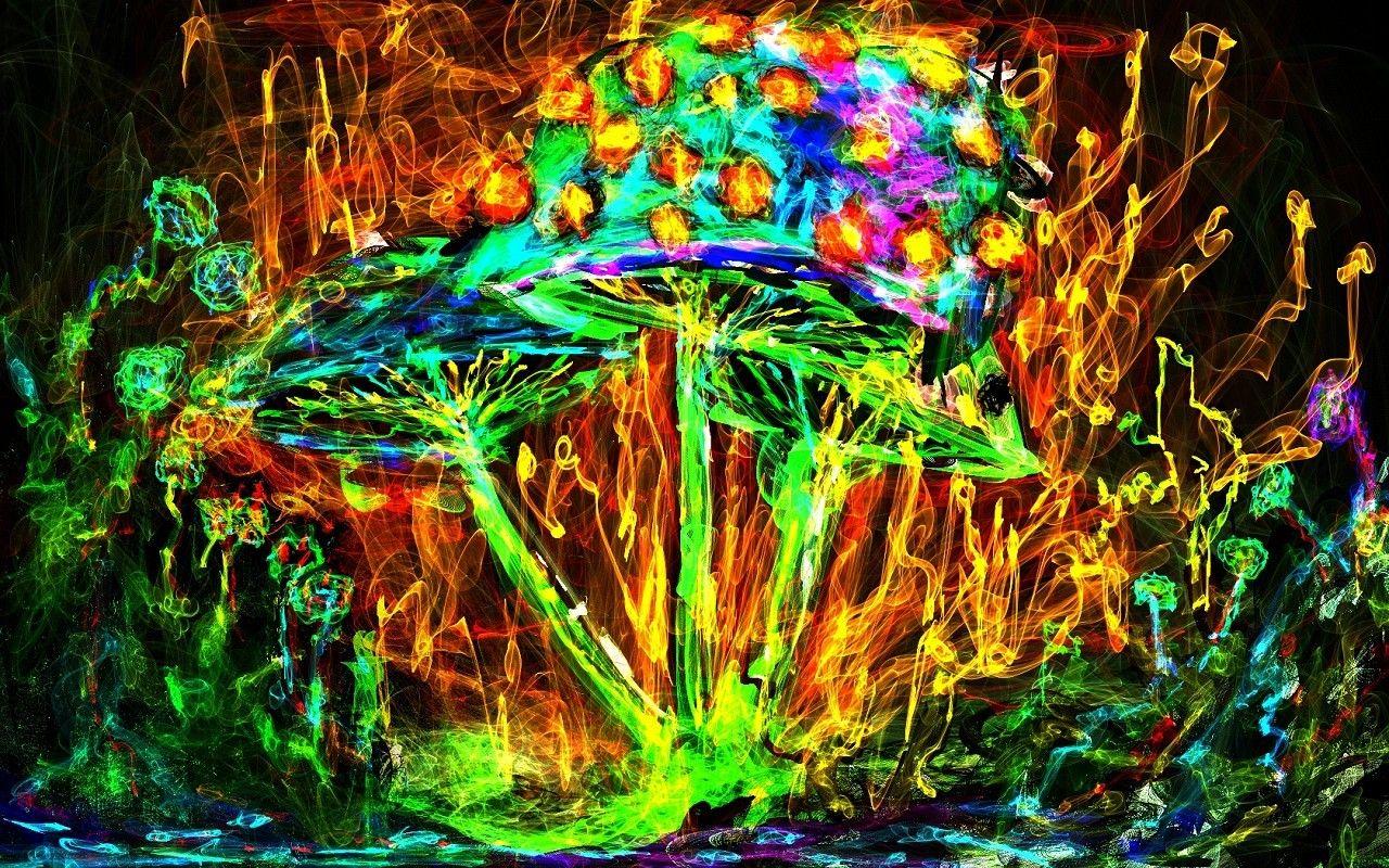 1280x800 mushroom colorful psychedelic wallpaper