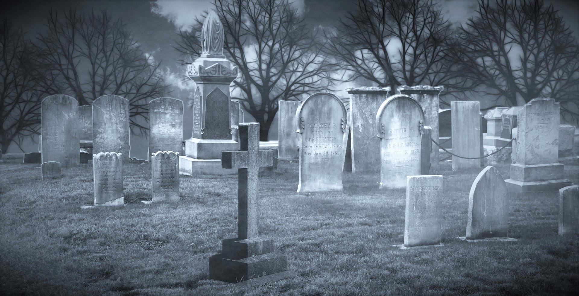 Graveyard мотылек