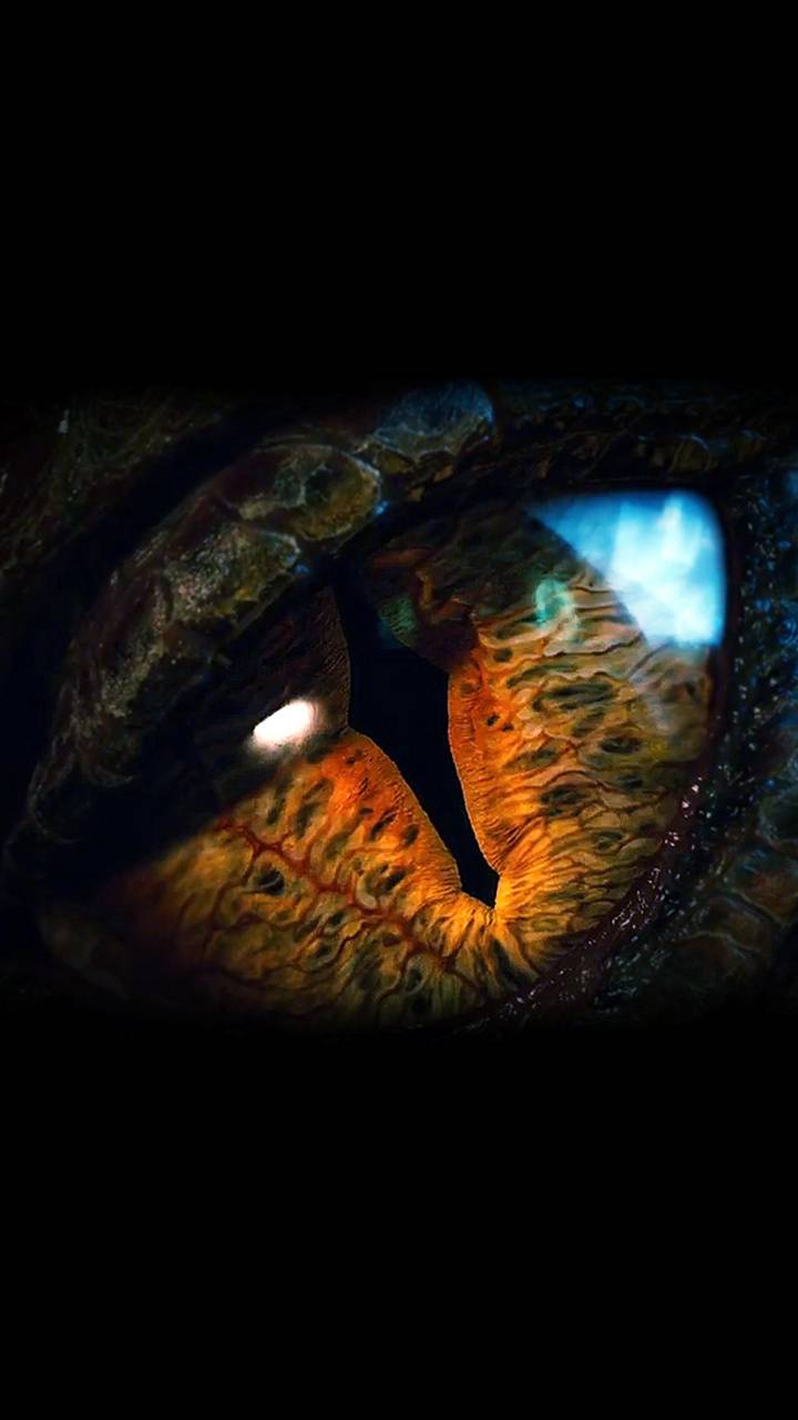 Cool Dragon Eyes Wallpapers - Top Free Cool Dragon Eyes Backgrounds ...