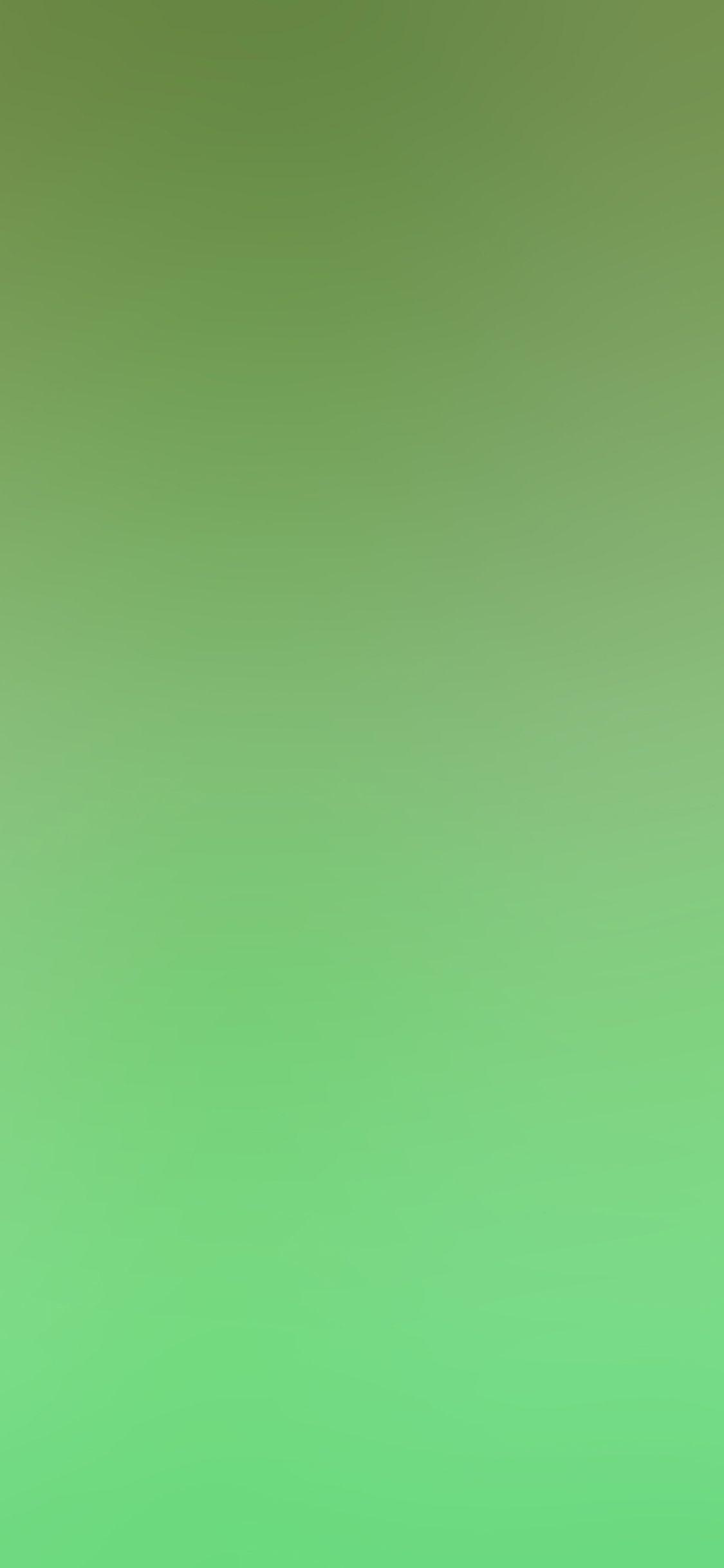 1125x2436 iPhoneXpapers green gradation blur