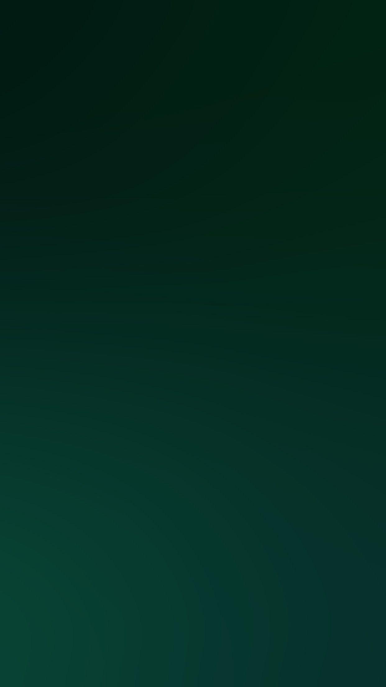 1242x2208 Solid Dark Green iPhone Wallpaper .