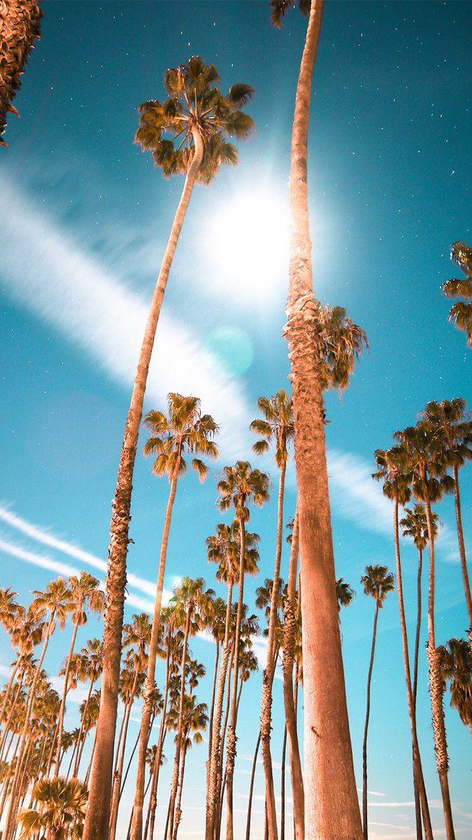 675x1200 Santa Barbara iPhone