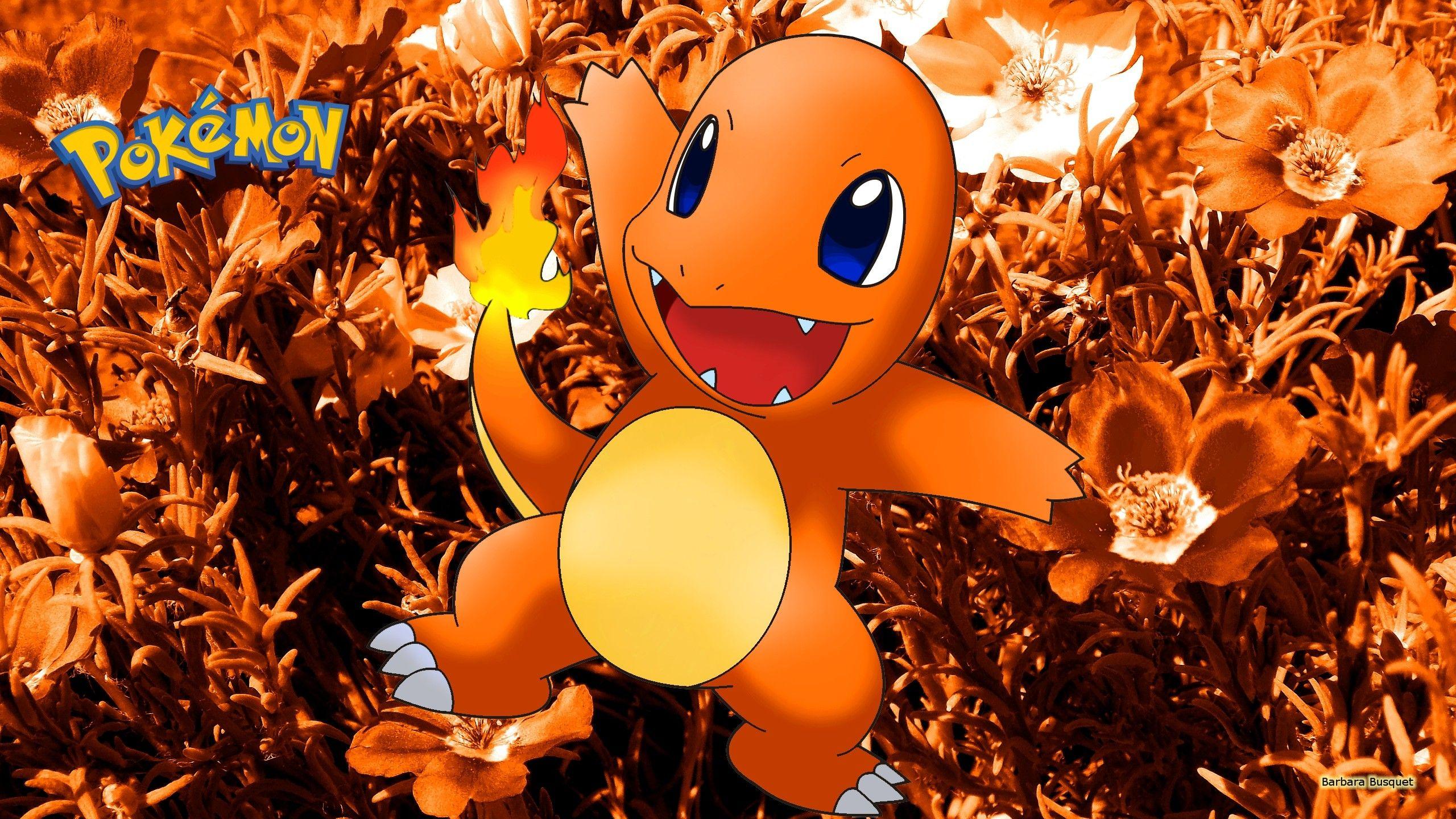 2560x1440 Fondos HD Pokemon Charmander HD Wallpaper