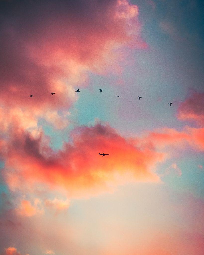 Birds and Clouds Wallpapers - Top Free Birds and Clouds Backgrounds