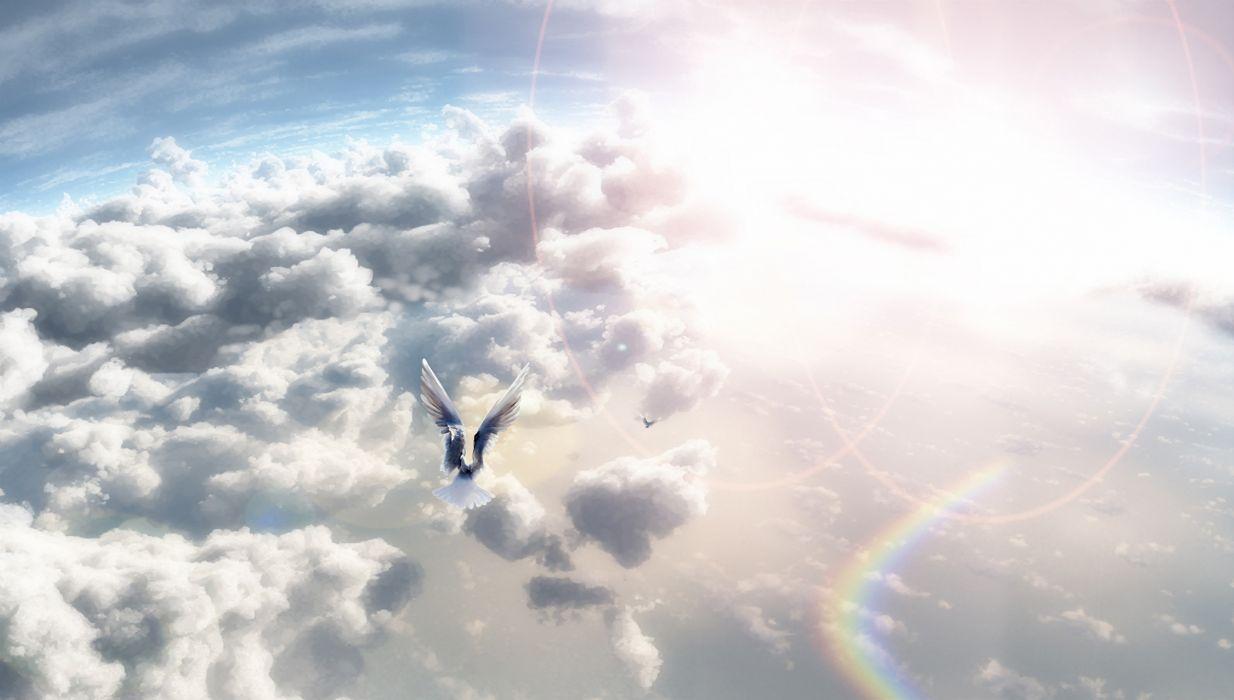 1234x700 Art Nyarko sky birds clouds sun wallpaperx1277