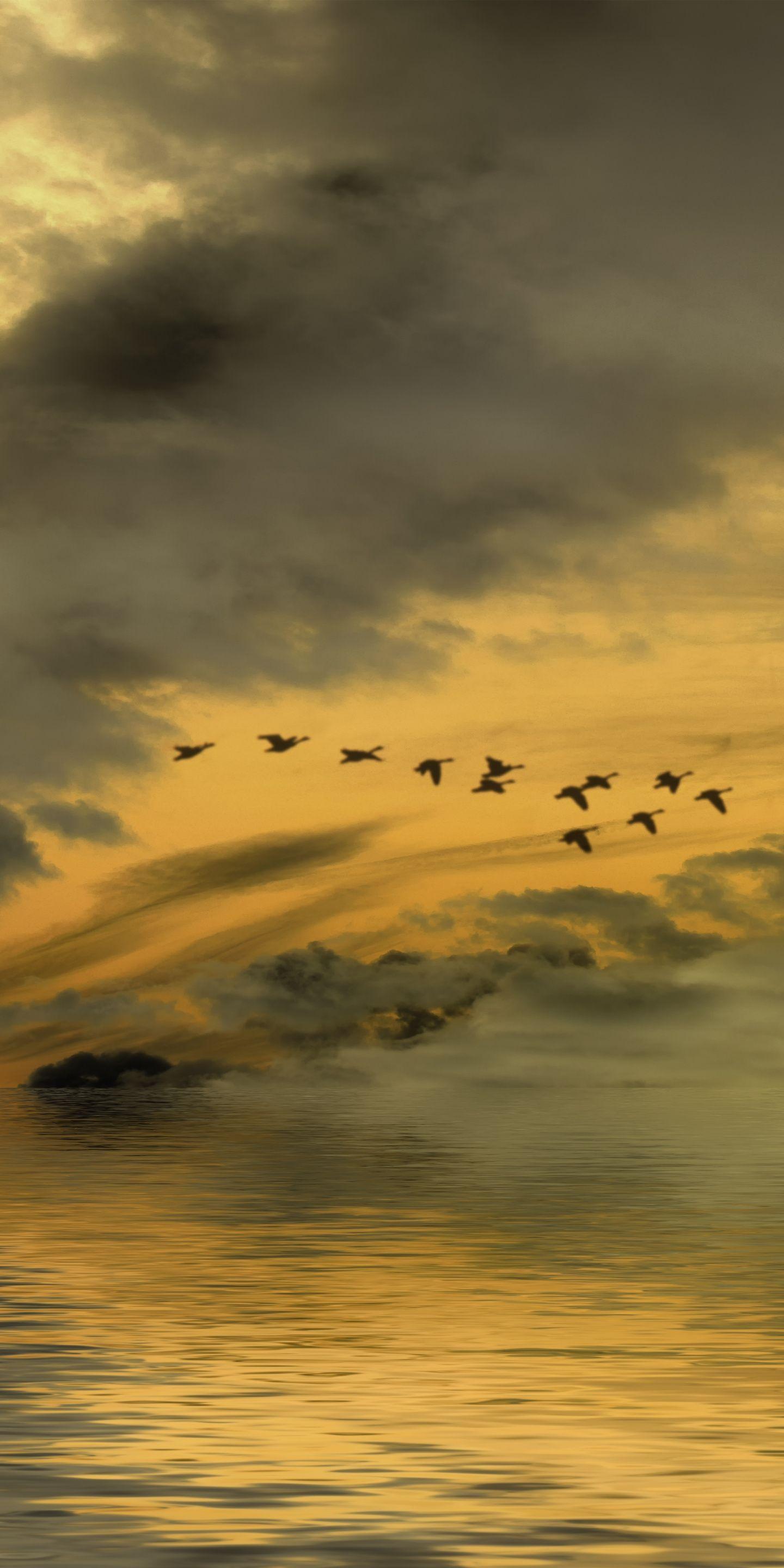 1440x2880 Birds, clouds, silhouette, sea, sunset, 1440x2880 wallpaper. Wallpaper, Free HD wallpaper, Mountain wallpaper