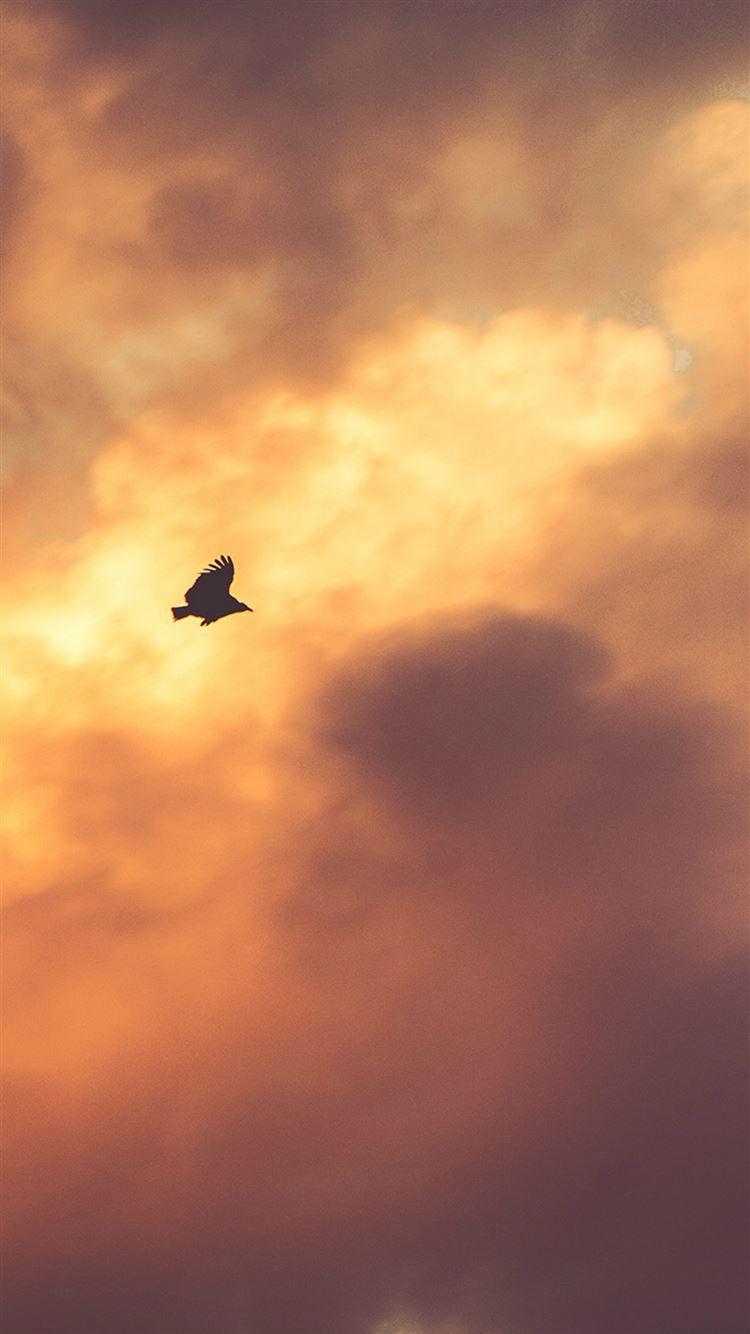 750x1334 Bird Fly Sky Clouds Red Sunset Nature Animal iPhone 8 Wallpaper Free Download