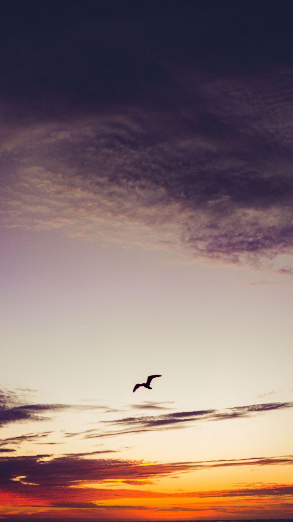 938x1668 Download Wallpaper 938x1668 Sky, Bird, Clouds, Sunset, Height, Fly Iphone 8 7 6s 6 For Parallax HD Background