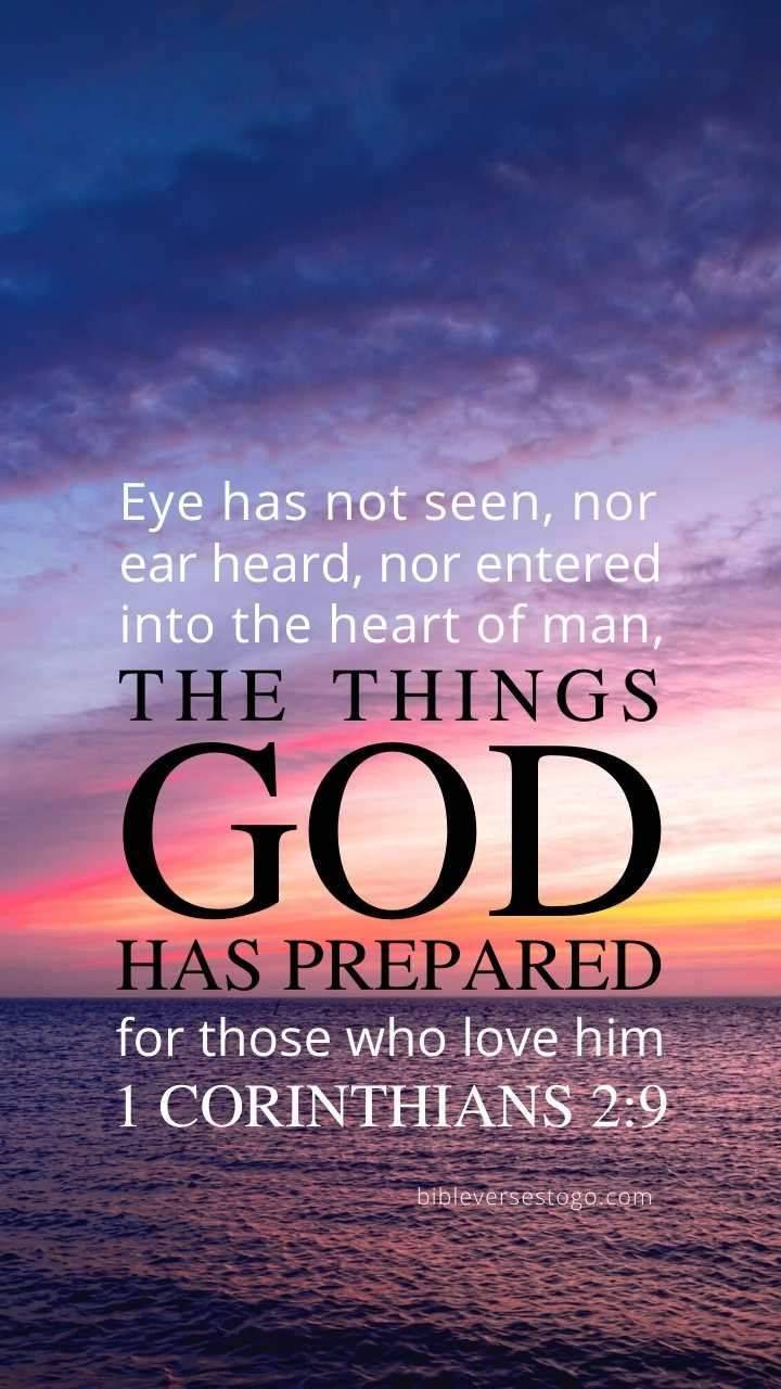 720x1280 Bible Quote wallpaper