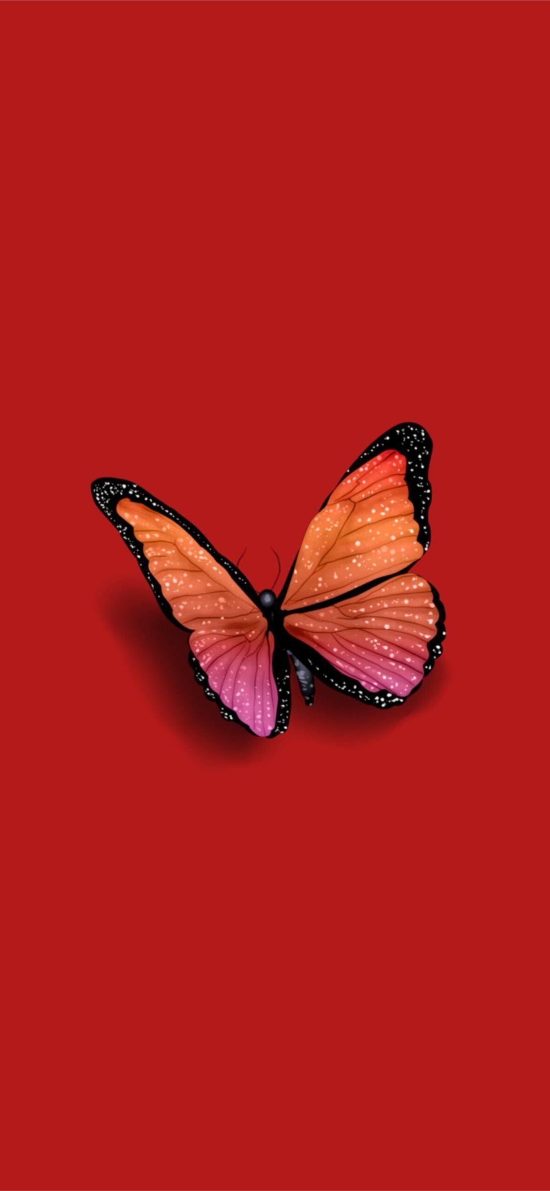 1125x2436 Butterfly Wallpaper iPhone 11 Pro Max