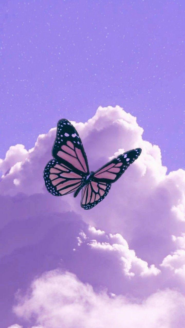 Purple Butterfly iPhone Wallpapers  Top Free Purple Butterfly iPhone  Backgrounds  WallpaperAccess