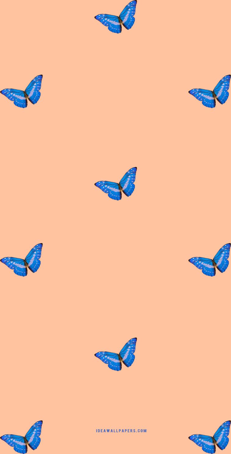 757x1485 Butterfly on peach background Wallpaper