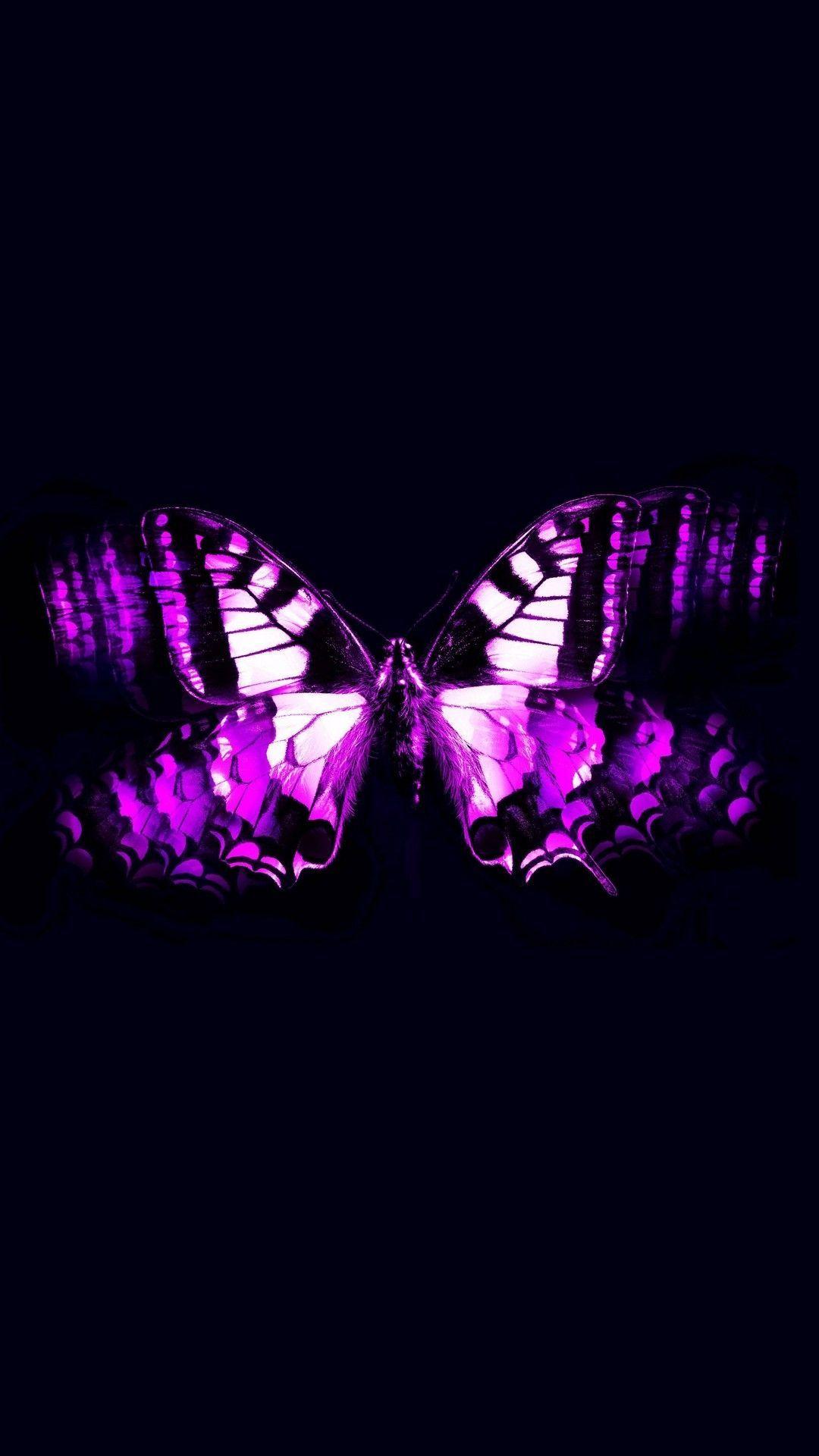 1080x1920 Butterfly iPhone Wallpaper (52 picture)