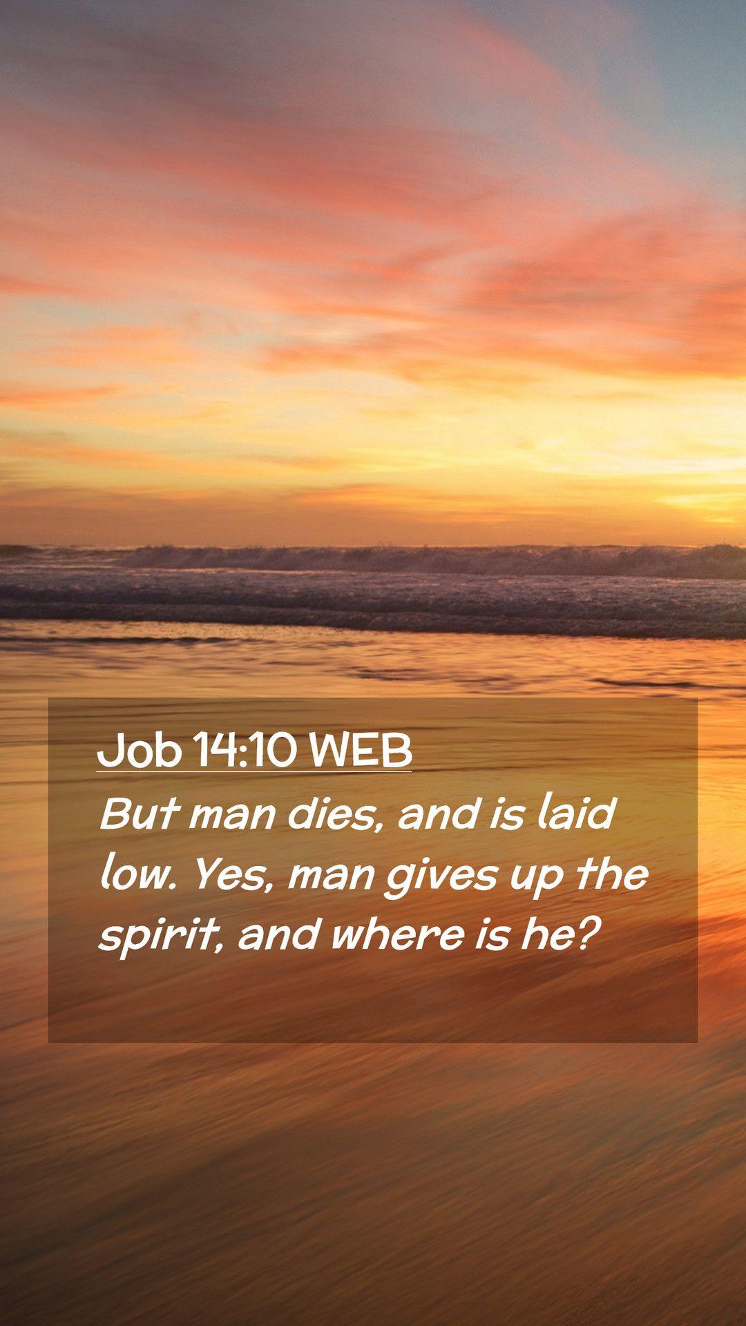 1080x1920 Job 14:10 WEB Mobile Phone Wallpaper man dies, and is laid low. Yes, man gives up