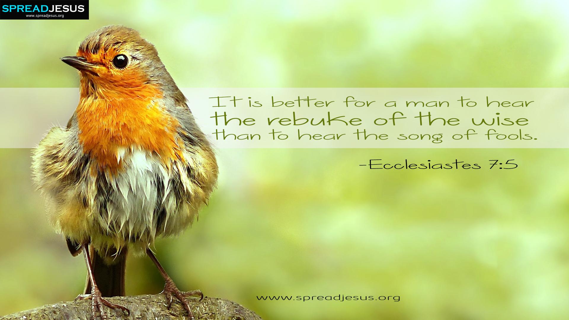1920x1080 Ecclesiastes 7:5 Bible Quotes HD Wallpaper Download