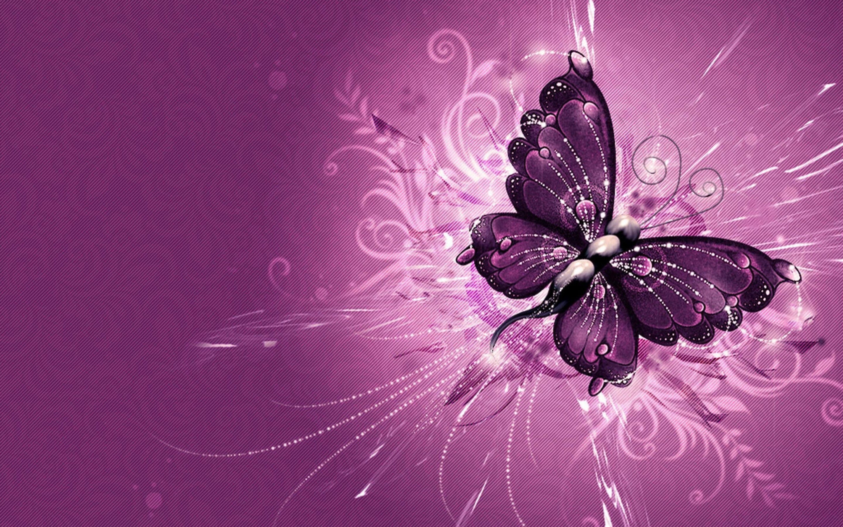 2880x1800 Butterfly Wallpaper