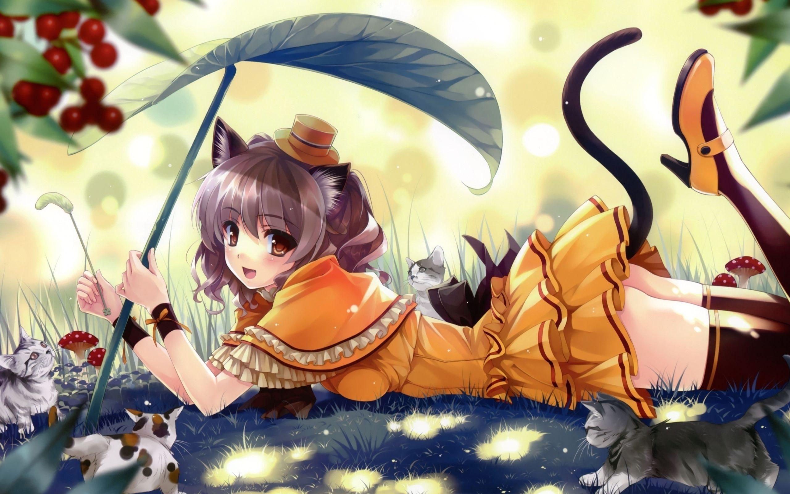 2560x1600 Anime Kittens MacBook Air Wallpaper Download