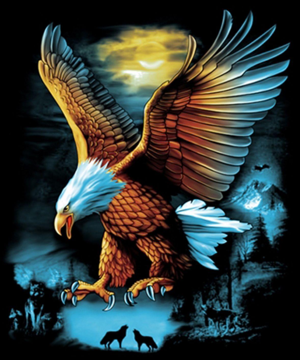 1178x1413 Eagles ideas. eagles, bald eagle, eagle