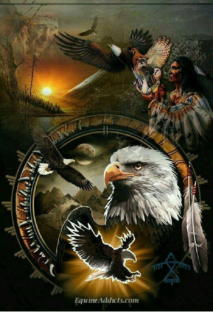 736x1076 Creative Spirit. Native american animals, Native american drawing, Eagle picture