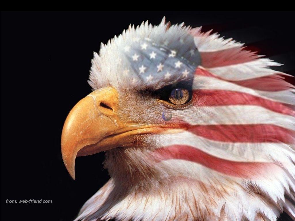 1024x768 Eagle Emblem Wallpaper. Fourth of July Eagle Wallpaper, Eagle Wallpaper and Beagle Puppy Wallpaper