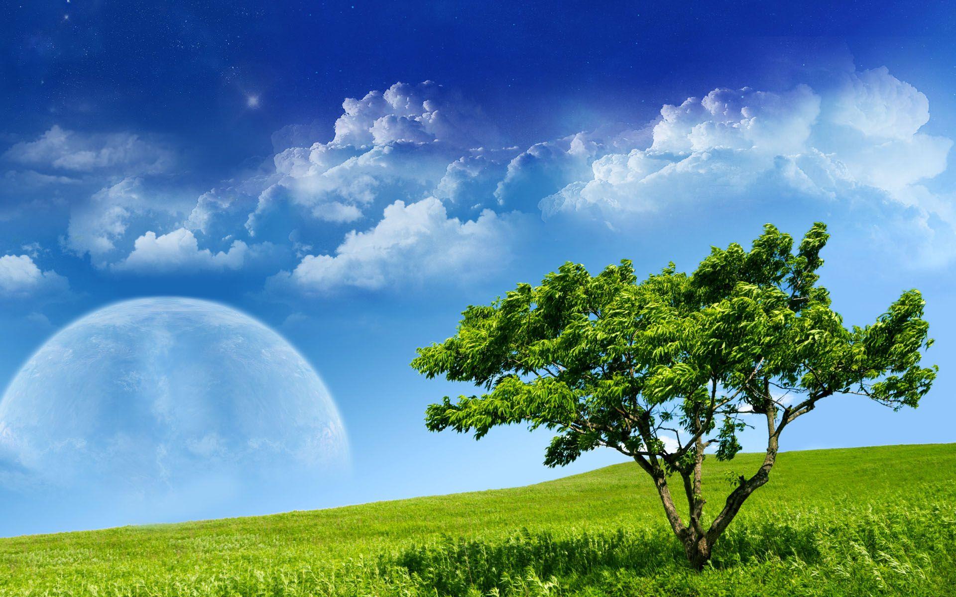1920x1200 Grass Sky Wallpaper