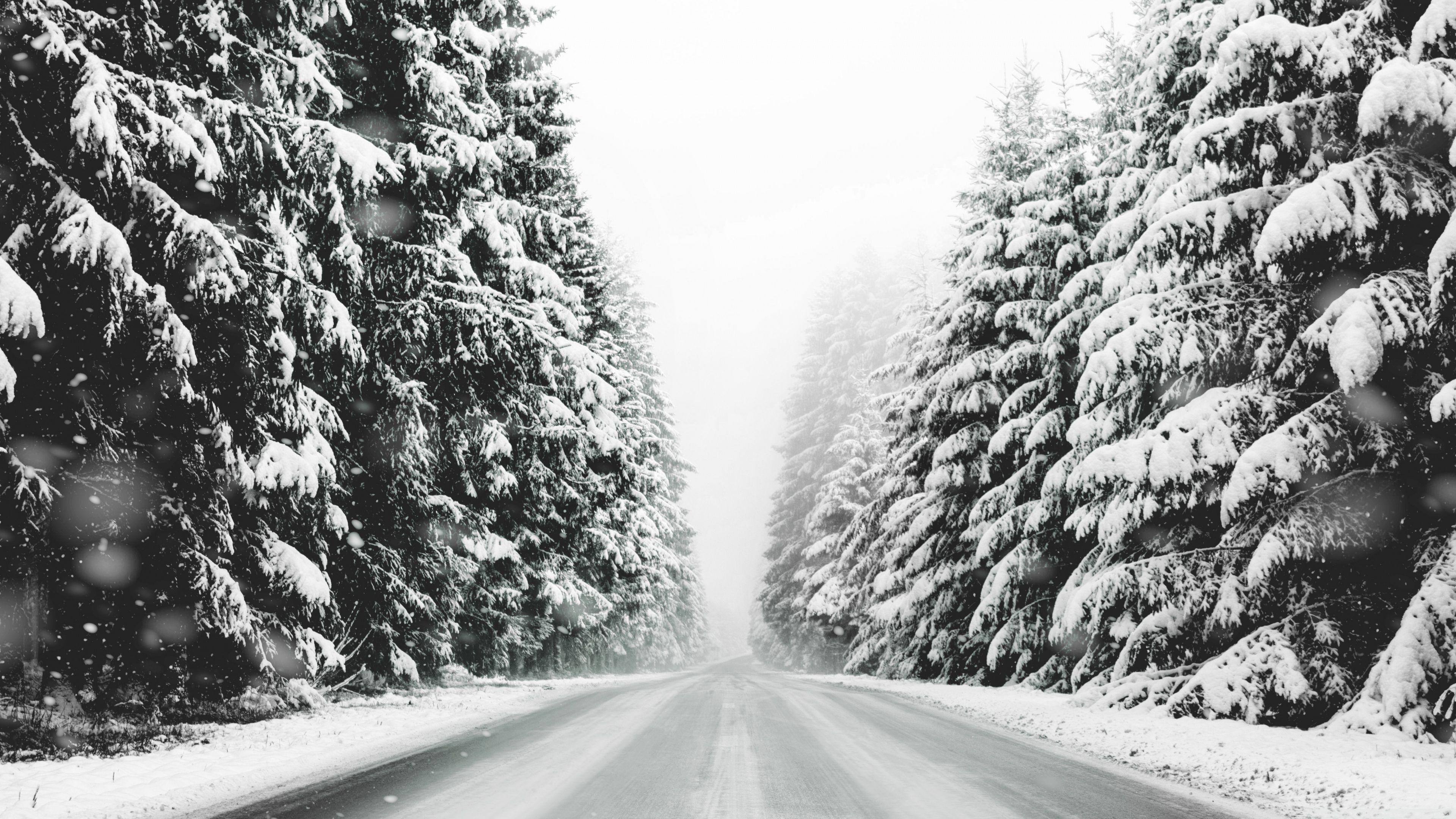 3840x2160 Road, Forest, Snow, Winter Landscape, Black and White Ultra HD Desktop Background Wallpaper for 4K UHD TV : Widescreen & UltraWide Desktop & Laptop : Multi Display, Dual & Triple Monitor : Tablet