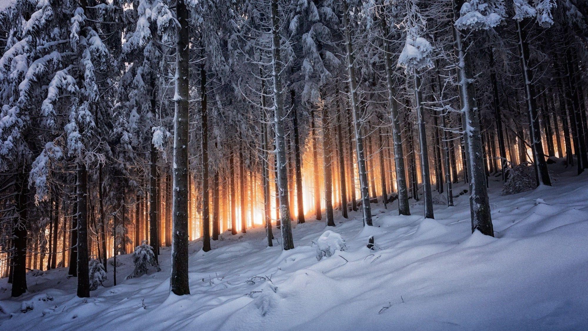 2000x1125 nature landscape mountain trees forest winter sunrise germany snow black white yellow wallpaper