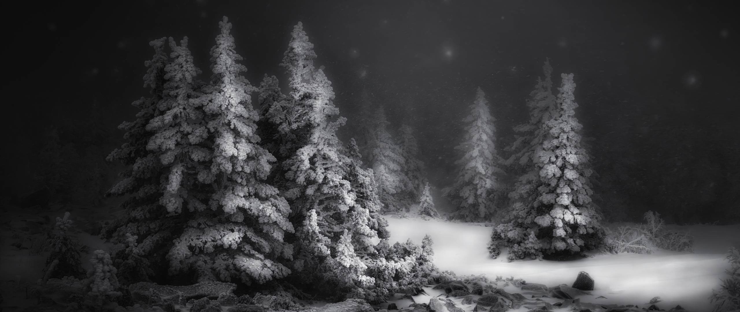 2560x1080 Black & White Snow Winter Night 2560x1080 Resolution Wallpaper, HD Nature 4K Wallpaper, Image, Photo and Background