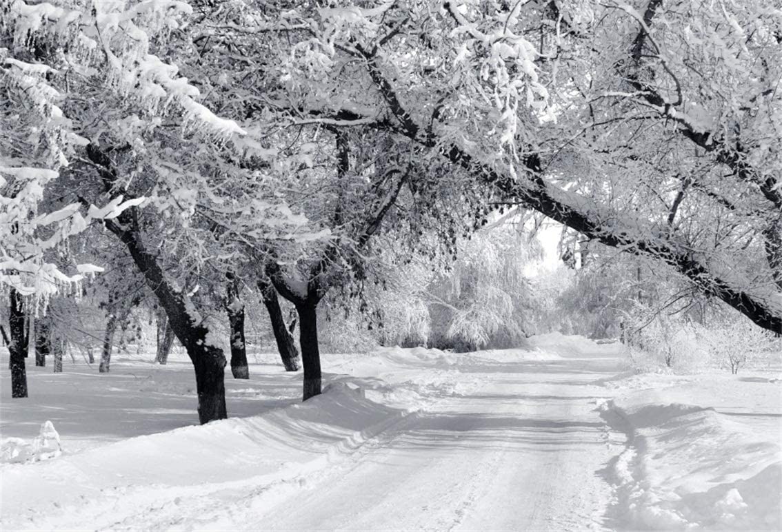 1134x772 Amazon.com : CSFOTO 10x7ft Background for Winter Forest Landscape Photography Backdrop Snow Cover Ice World White World Cold Skiing Nature Winter Scene Vacation Tourism Photo Studio Props Vinyl Wallpaper : Camera