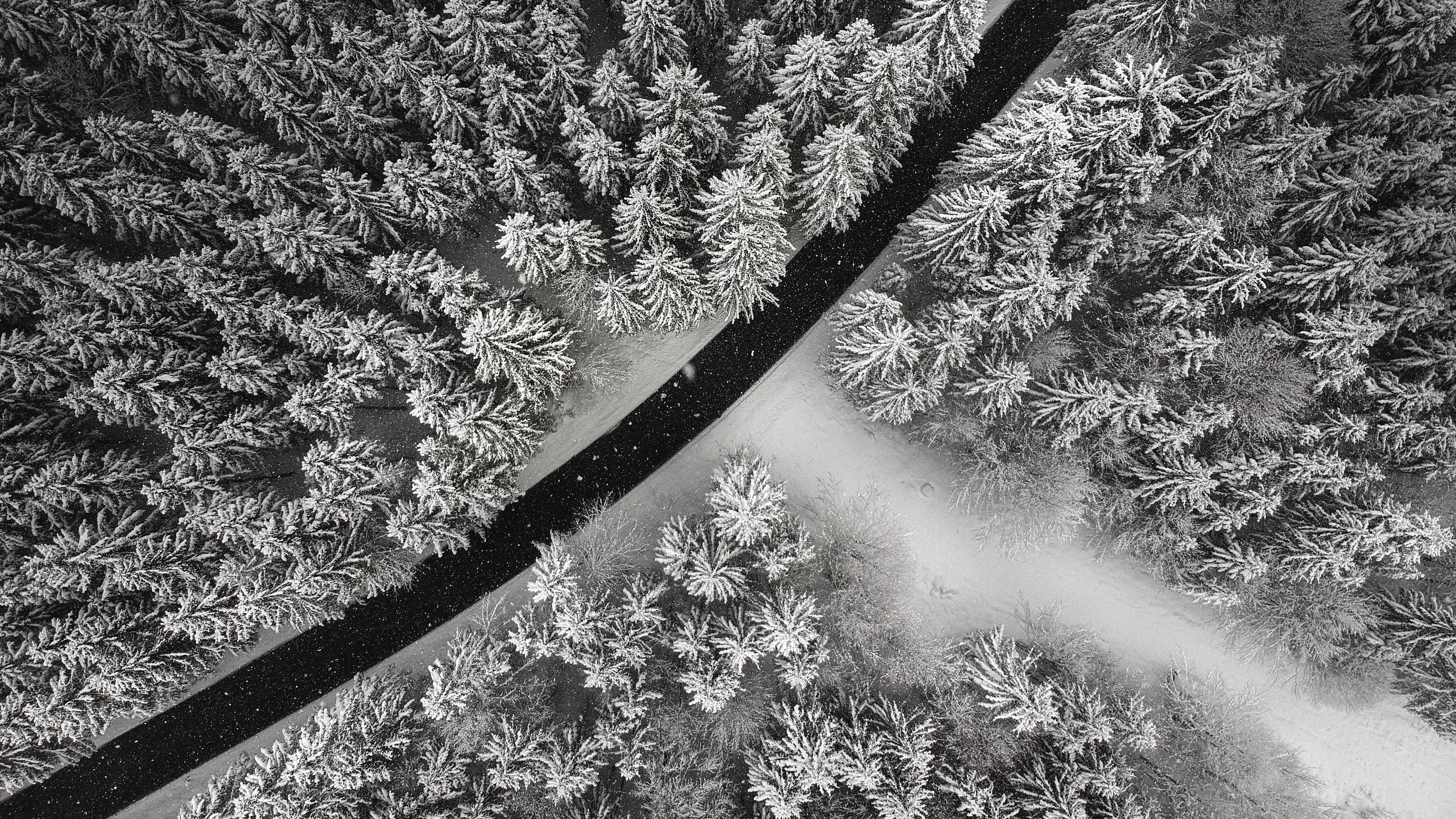 3840x2160 Download wallpaper 3840x2160 winter, trees, aerial view, snow, road, forest 4k uhd 16:9 HD background