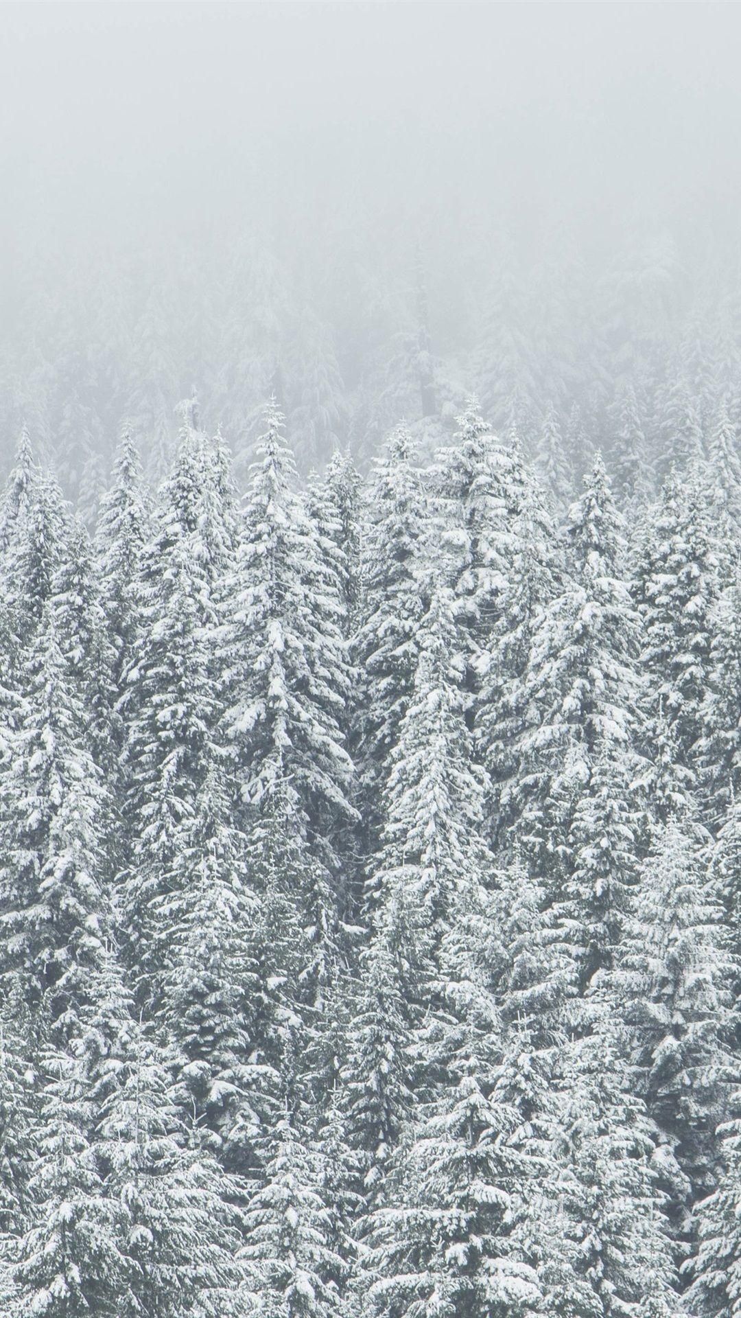 1080x1920 Wallpaper Winter, trees, spruce forest, snow 3840x2160 UHD 4K Picture, Image